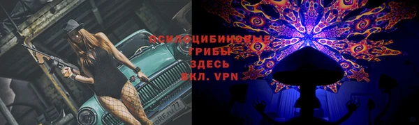соль ск Мегион
