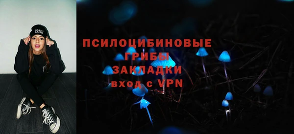 дмт Медногорск