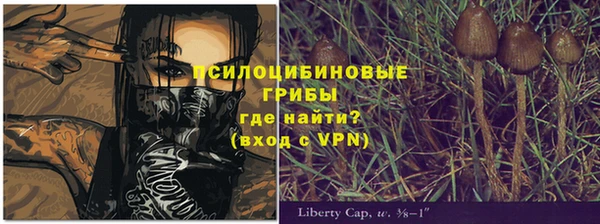 соль ск Мегион