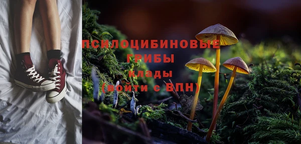 соль ск Мегион