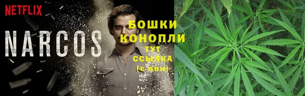соль ск Мегион